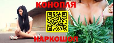 сатива Изобильный