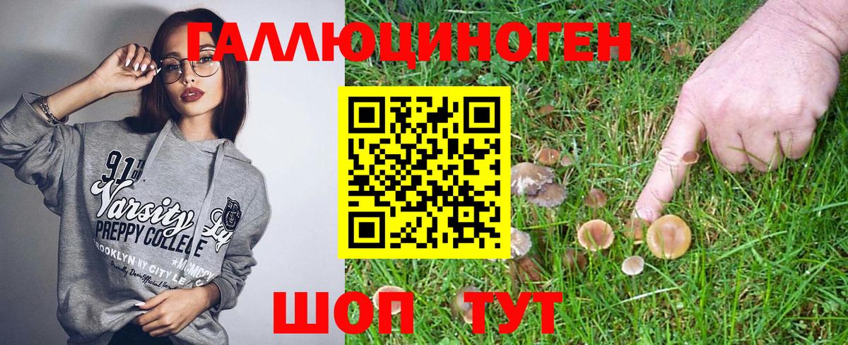 Фрязино  Псилоцибиновые грибы мухоморы  Вход с VPN 