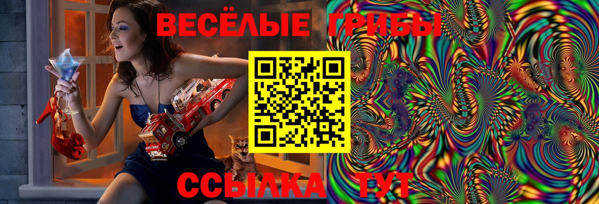 Псилоцибиновые грибы Psilocybe Фрязино