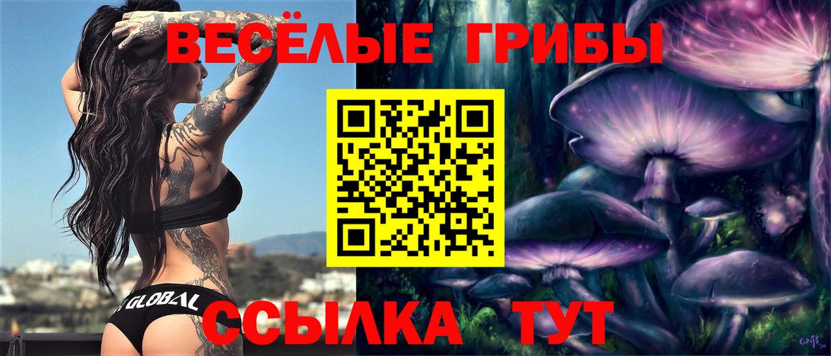 Псилоцибиновые грибы прущие грибы  Фрязино 