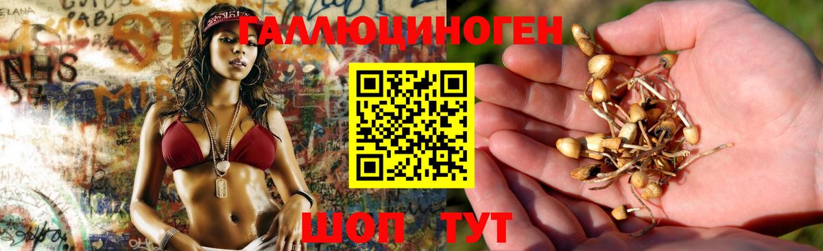 Псилоцибиновые грибы Cubensis Фрязино